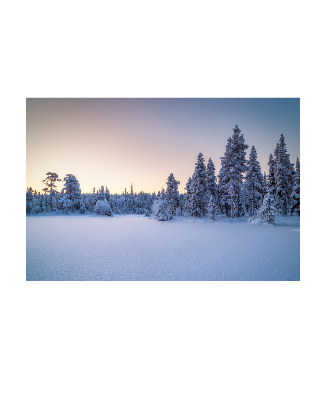 Winter's Tranquility
