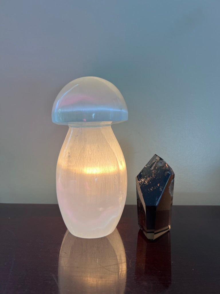 Selenite Mushroom Crystal Lamp